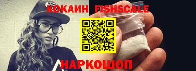 мдпв Камышлов