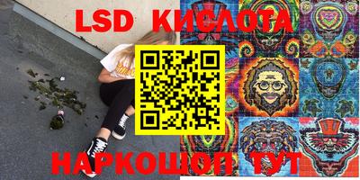 крисы Кандалакша