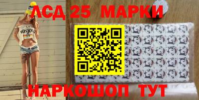 крисы Кандалакша