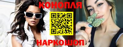 мдпв Камышлов