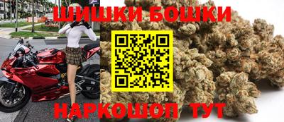 мдпв Камышлов