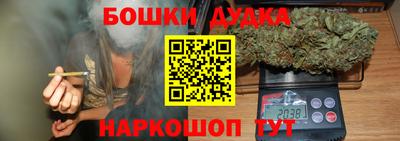 крисы Кандалакша