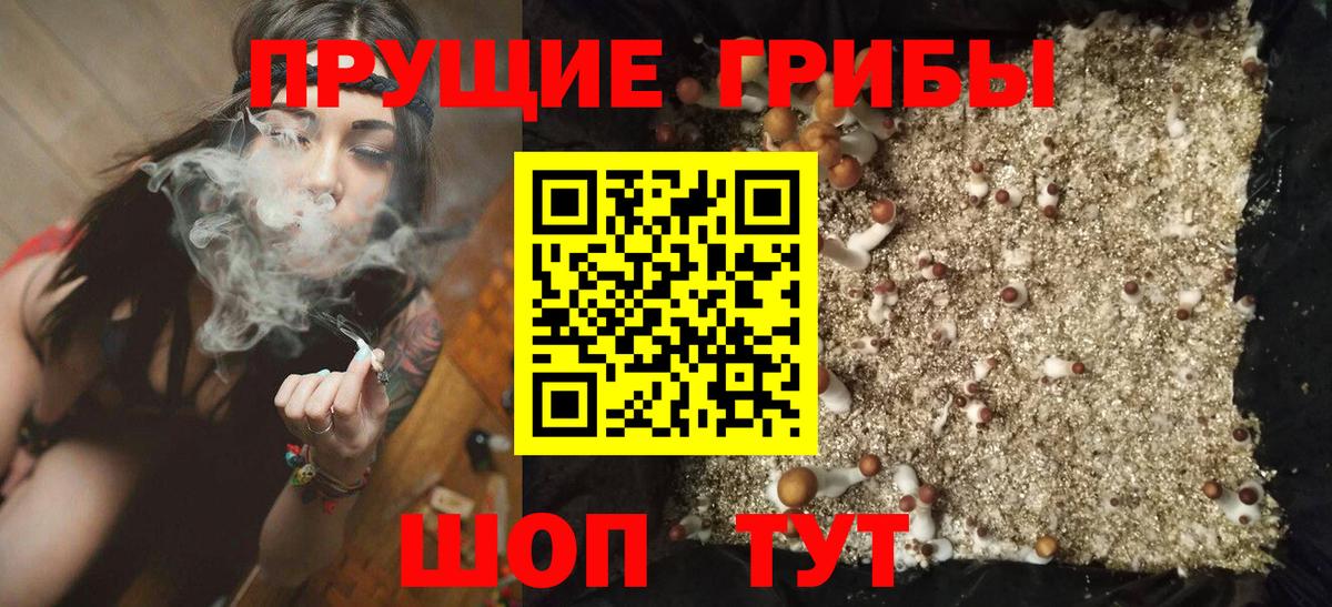 Псилоцибиновые грибы мицелий Костомукша